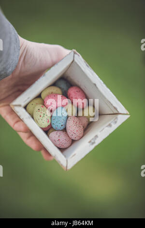 Bunte Ostereier im Feld Stockfoto