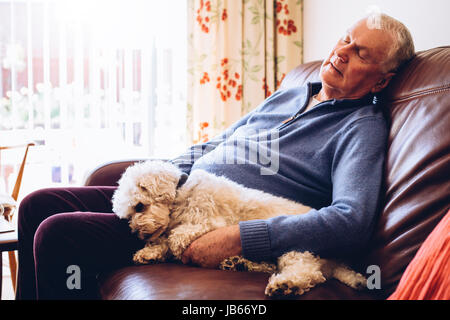 Senior woman zu Hause auf seinem Sofa mit seinem Haustier Hund zusammengerollt neben ihm schläft. Stockfoto