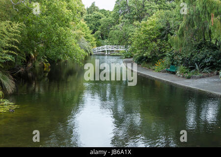 Königin der Gärten in zentralen Nelson, Neuseeland Stockfoto