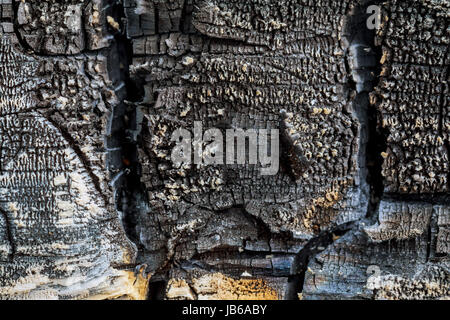 alten verbrannten Holzbrett aus Holz Textur, hölzernen Hintergrund. Stockfoto