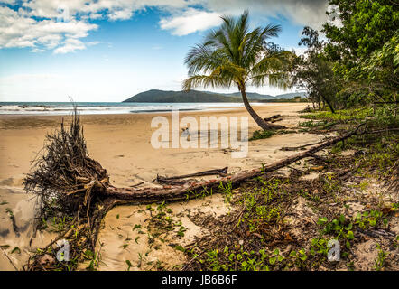 Noah Beach, Daintree Regenwald, Queensland Stockfoto