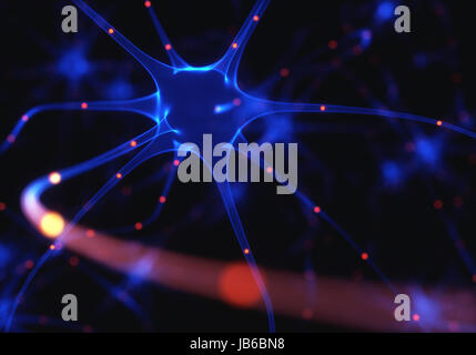 Menschliche Gehirn Nervenzellen, Abbildung. Stockfoto