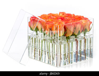Rosenstrauss orange Rosen im Container auf weißem Hintergrund Stockfoto