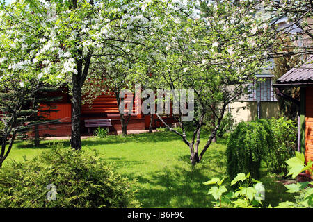 Ein Garten im Hinterhof mit Bäumen und Sträuchern im Frühjahr Stockfoto