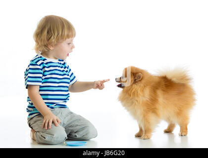 Kind junge Training Spitz Hund. Isoliert auf weißem Hintergrund. Stockfoto