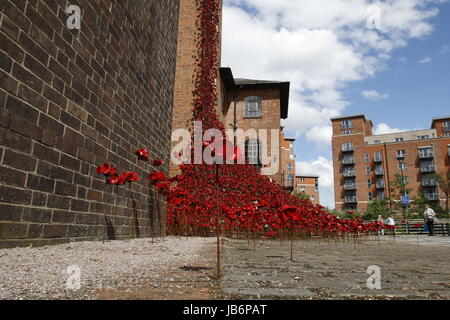 London, UK. 9. Juni 2017. Erste vollständige öffentliche Zurschaustellung von der weinenden Mohn Schaufenster im Derby Seide Mühlenturm. Die Anzeige erfolgt bis mehrere tausend der Keramik Blumen erstellt von Derbyshire Paul Cummins und war Teil der herrlichen Blut Mehrfrequenzdarstellung Länder und Meere von Red Ausstellung im Tower von London im Jahr 2014. Derby, Großbritannien. 9. Juni 2017. Bildnachweis: Richard Holmes/Alamy Live-Nachrichten Stockfoto