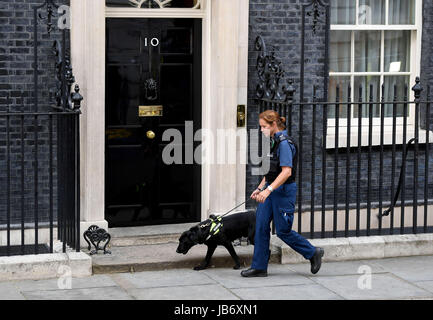 Polizei patrouillieren an Nummer 10 Downing Street, London, UK. Sicherheit bei Downing St Stockfoto