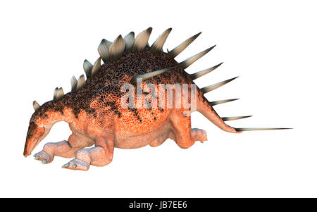 Digitale 3D Rendern eines ruhenden Dinosauriers Kentrosaurus isoliert auf weißem Hintergrund Stockfoto