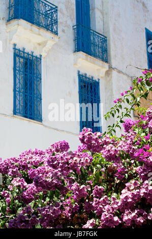 Tunesische Fenster und Blumen in Sidi Bou Said Stockfoto