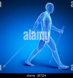 3D gerenderten medizinische Illustration - Nordic-walking Stockfoto