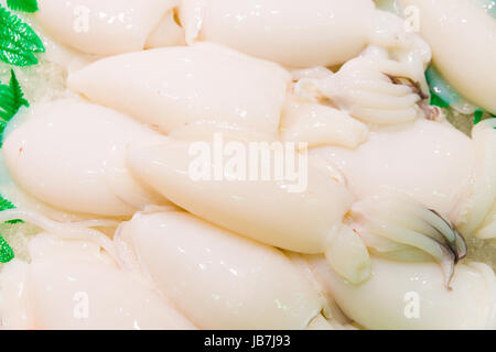 Frisch, gefroren, große Tintenfische oder Tintenfisch. Roher Fisch Stockfoto