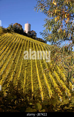Burg Scharfenstein (1160 Bis 1260) Bei Kiedrich, Rheingau, Hessen, Deutschland Stockfoto