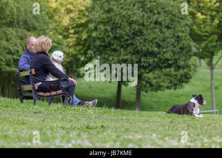 Paar saß Taling auf Bank mit ihren Hunden am See in Abington Park, Northampton. Stockfoto