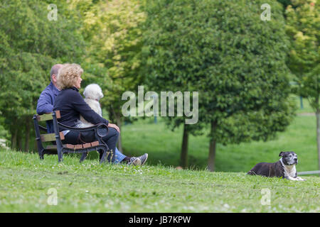 Paar saß Taling auf Bank mit ihren Hunden am See in Abington Park, Northampton. Stockfoto