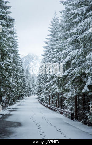 Ein schönen Winter Berge Wald Landschaft mit einer Straße. Westliche Tatra-Gebirge in der Slowakei Stockfoto