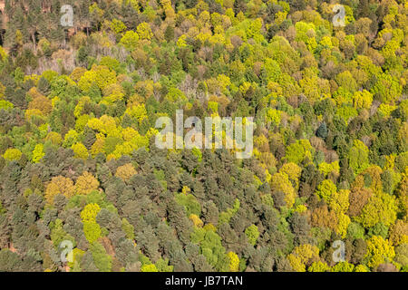 Queen Elizabeth Park am Stratford in London. Stockfoto