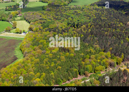 Queen Elizabeth Park am Stratford in London. Stockfoto