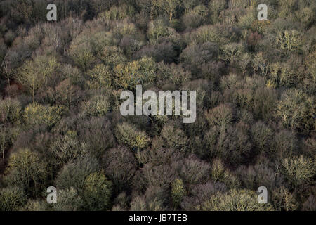 Queen Elizabeth Park am Stratford in London. Stockfoto