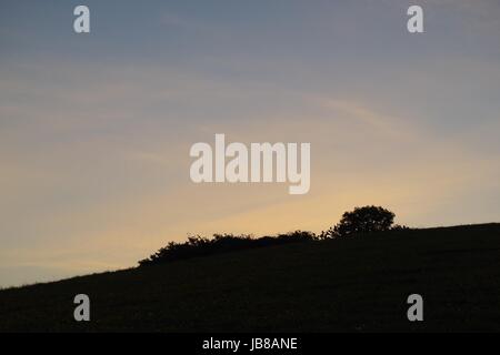 Sunrise-Silhouette auf einem Hügel. Rolly-Polly Hill, Ludwell Valley Park, Exeter, Devon, UK. Anfang Sommer 2017. Stockfoto