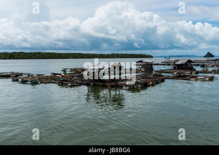 Kleinen Shrimp-Farmen in der Bucht von Phang Nga, Thailand Stockfoto