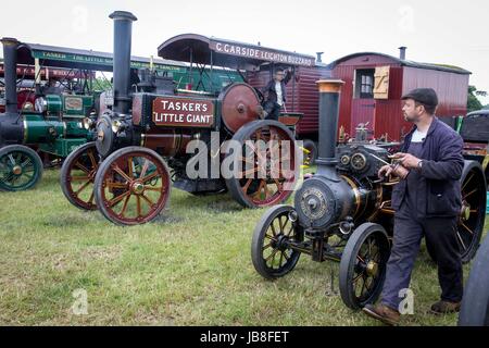 29.05.17 ALTRINCHAM, GRÖßERE MANCHESTER, UK.    Ashley Hall Traction Motor Rally heute (Montag, 29. Mai 2017). Stockfoto