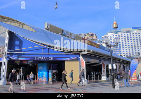 Menschen besuchen Darling Harbour in Sydney Australia Stockfoto