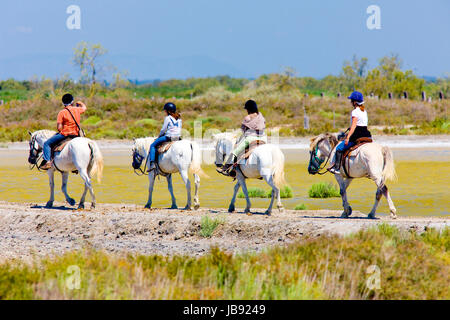 Reiten, Parc Regional de Camargue, Provence, Frankreich Stockfoto