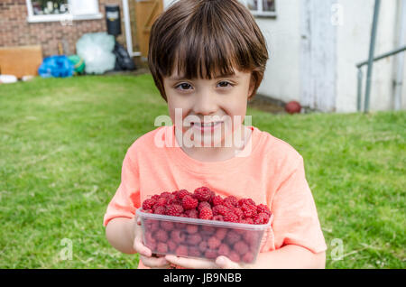 Ein kleiner Junge hält eine Plastikwanne Himbeeren, die er zu Hause in seinem Garten gepflückt hat. Stockfoto