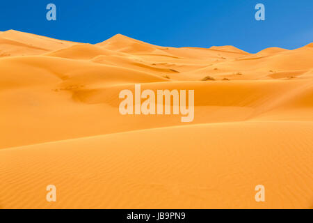 Erg Chebbi Wüste, Marokko Stockfoto