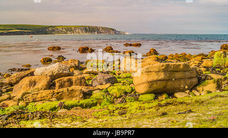 Die bunten Rocky Stein Küste bei Swanage Stockfoto