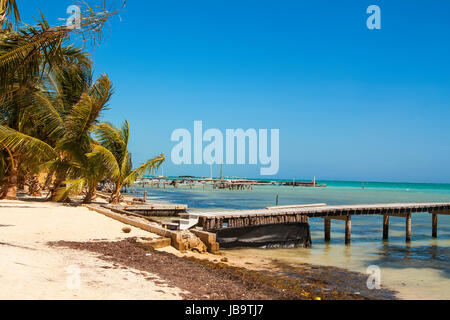 Schöne tropische Küste mit Anlegestellen für Boote auf der Insel Caye Caulker am Barrier Reef in der Karibik Stockfoto