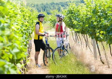 Biker im Weinberg, Tschechische Republik Stockfoto