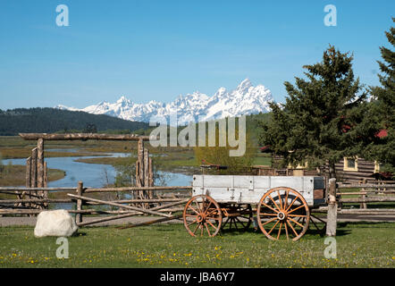 Die schneebedeckte Teton Bergkette hinter dem Herzen Six Ranch im Buffalo-Tal, Wyoming, Vereinigte Staaten von Amerika. Stockfoto