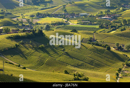 Grüne Hügel und Weinberge der Langhe in frühen Frühlingsmorgen in Piemont, Italien (Ansicht von oben). Stockfoto