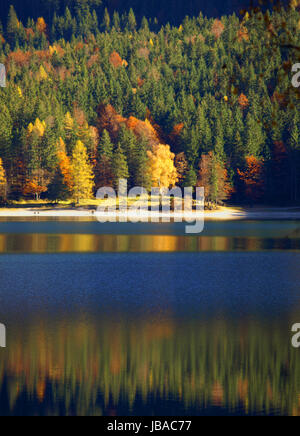 Ufer des Eibsee, Oberbayern, Deutschland Stockfoto