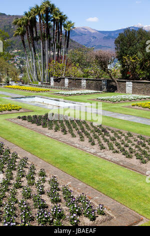 Villa Taranto - Italien. Berühmten italienischen Garten in der Nähe von Lago Maggiore Stockfoto