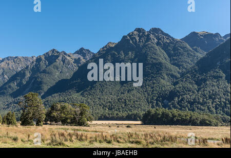 Fiordland-Nationalpark, New Zealand - 16. März 2017: Gelbe trockenen Ebene von Knöpfen Wohnungen sind ein Tal zwischen hohen dunklen Gebirgszüge unter blu Stockfoto