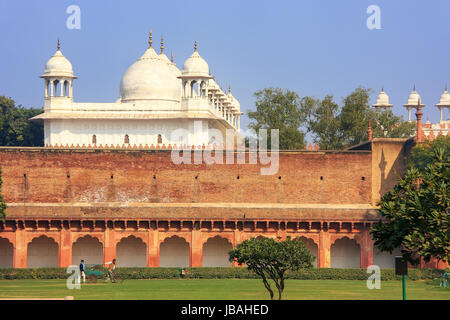 Moti Masjid (Perle Moschee) in Fort Agra, Uttar Pradesh, Indien. Das Fort wurde in erster Linie als eine militärische Struktur gebaut, aber wurde später ein Upgrade auf eine palac Stockfoto