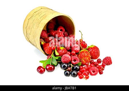 Rote und schwarze Johannisbeeren, Himbeeren, Erdbeeren, Kirschen mit grünen Blättern in einer Schüssel aus Birkenrinde isoliert auf weißem Hintergrund Stockfoto