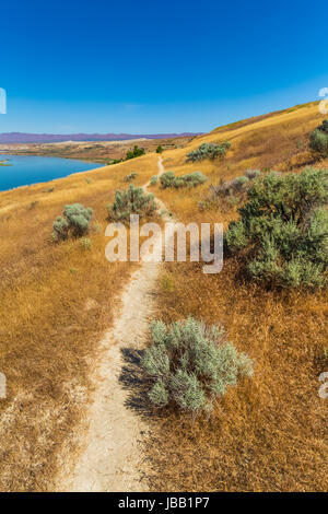 Trail führt zu White Bluffs in Hanford erreichen National Monument, Columbia River Basin, Washington State, USA Stockfoto