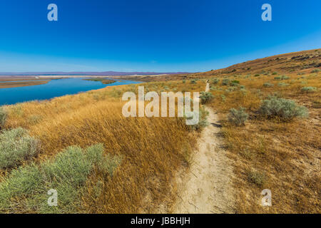 Trail führt zu White Bluffs in Hanford erreichen National Monument, Columbia River Basin, Washington State, USA Stockfoto