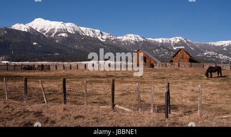 Eine Ranch Farm homestead sieht hell und kalt im Winterfrost Stockfoto