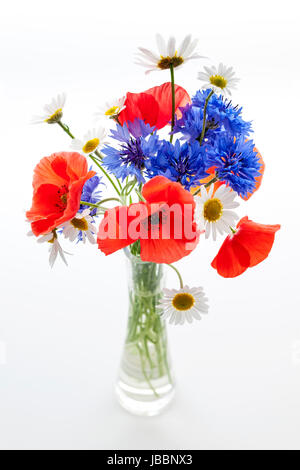 Bouquet von Wildblumen - Margeriten, Mohn, Kornblumen - auf weißem Hintergrund, Studio gedreht. Stockfoto