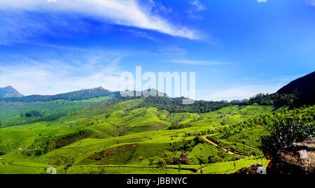 Stock Foto - Kerala-Landschaft und Natur-Landschaften Stockfoto