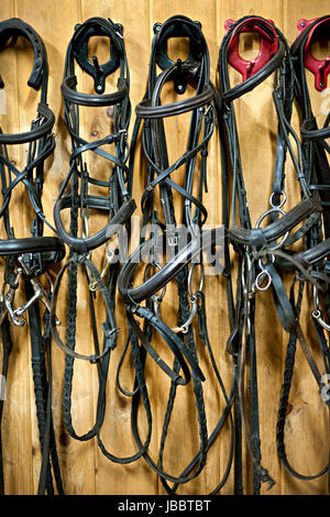 Leder Pferd Zaumzeug und bits an Wand Stall hängen Stockfoto