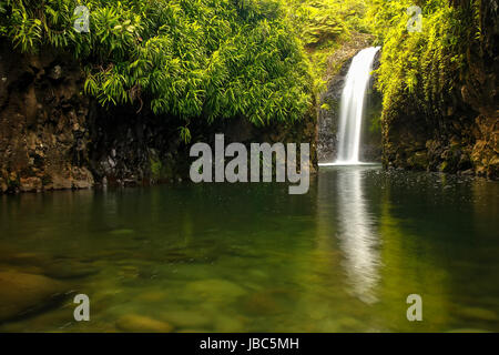 Wainibau-Wasserfall am Ende der Lavena Coastal Walk auf Taveuni Island, Fidschi. Taveuni ist die drittgrößte Insel in Fidschi. Stockfoto