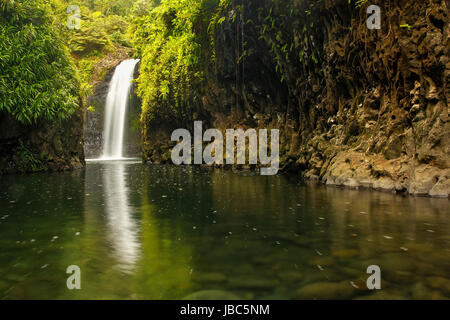 Wainibau-Wasserfall am Ende der Lavena Coastal Walk auf Taveuni Island, Fidschi. Taveuni ist die drittgrößte Insel in Fidschi. Stockfoto