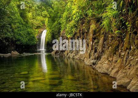Wainibau-Wasserfall am Ende der Lavena Coastal Walk auf Taveuni Island, Fidschi. Taveuni ist die drittgrößte Insel in Fidschi. Stockfoto
