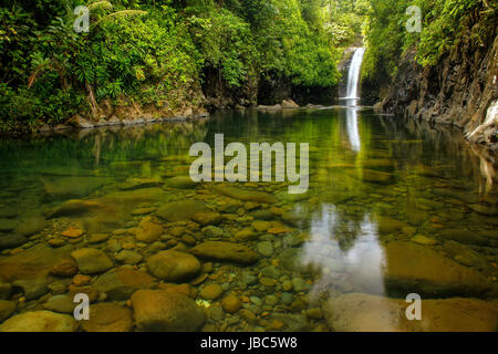 Wainibau-Wasserfall am Ende der Lavena Coastal Walk auf Taveuni Island, Fidschi. Taveuni ist die drittgrößte Insel in Fidschi. Stockfoto