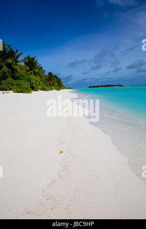 Pulver weißen Sand und üppig grüne Vegeatation auf einer Ferieninsel auf den Malediven. Stockfoto